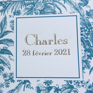 ad47a008a2f806aa6eb1b53852cd8b37