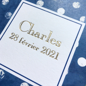 47fd3c87f42f55d4b233417d49c34783