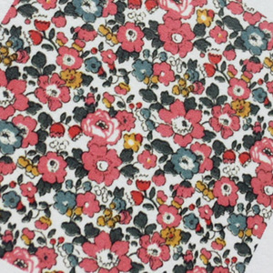 56584778d5a8ab88d6393cc4cd11e090